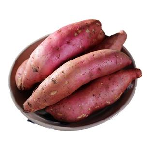 云南榴莲蜜薯高原板栗红薯番薯金黄软糯香甜当季现挖现发金时地瓜