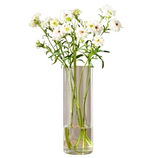花瓶摆件客厅插花玻璃轻奢高级感透明高直筒富贵竹雪柳百合落地大