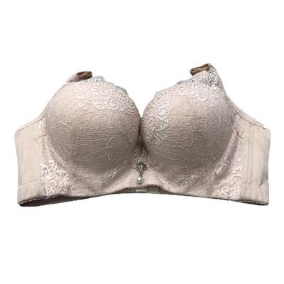 天姿芳正品有钢圈中厚三排扣文胸