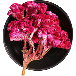 鸡冠花中药材500g正品新货红鸡冠花干花白色鸡冠花凤尾鸡髻鸡冠头