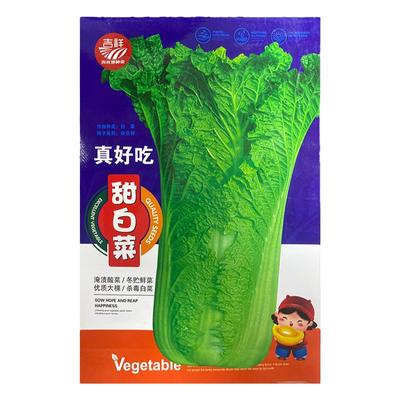 甜白菜脆青大白菜种孑青口白