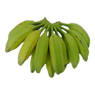 广西大芭蕉牛蕉大蕉牛角蕉新鲜香蕉水果无催熟剂9斤半净酸甜健康