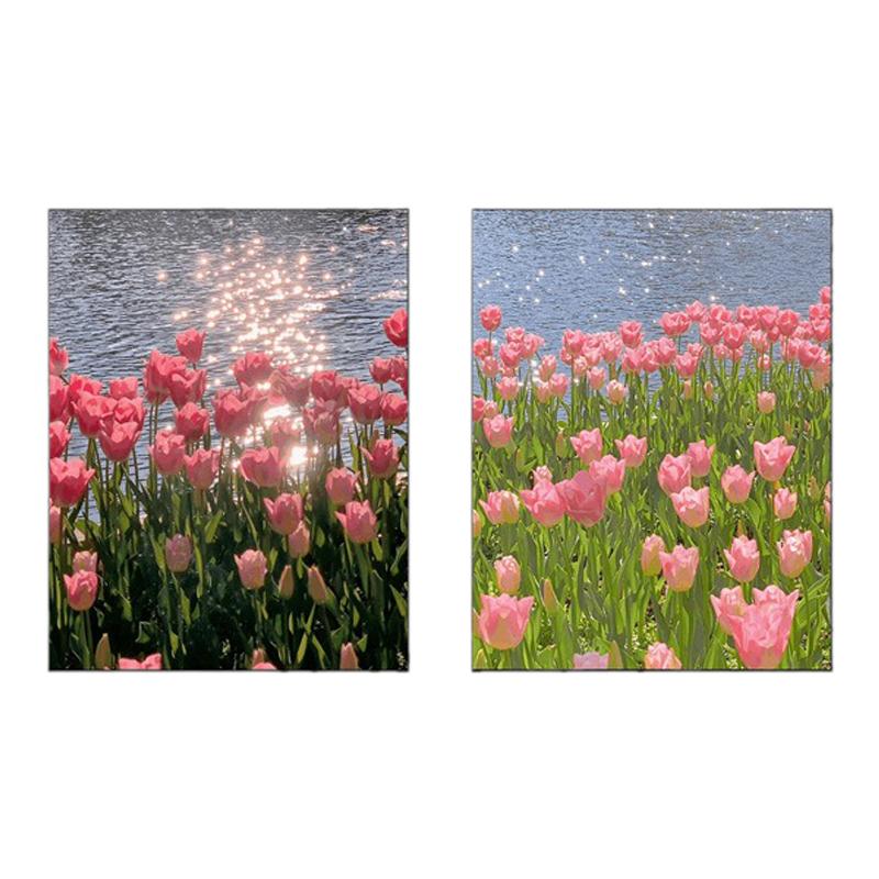 郁金香植物花卉装饰画简约现代