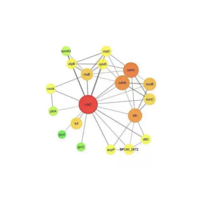孟德尔随机化两样本分析TwoSampleMR r包R语言安装错误问题解决