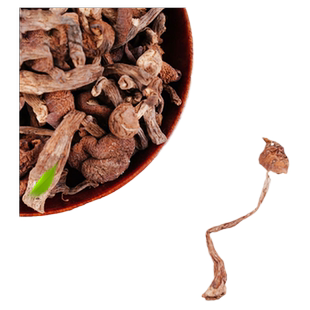 东北榛蘑长白山珍特产小鸡炖蘑菇2025新干货纯野生蘑菇礼盒非香菇