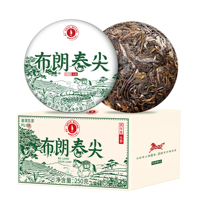 金色云河2026布朗春尖古树沱茶