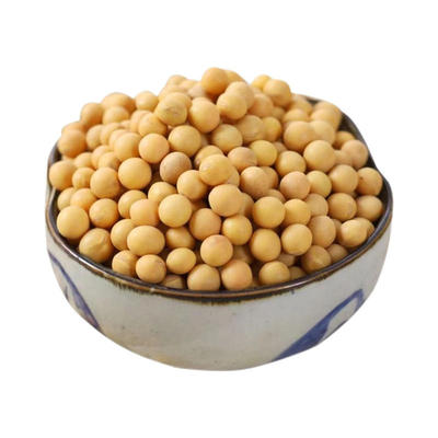 东北黄豆非转基因大豆2斤装10斤装一年一季新货2斤/5斤/10斤