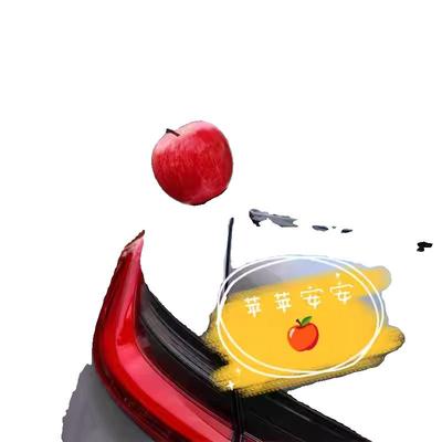斯蒂娅装饰仿真水果车载摆件
