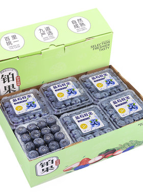 顺丰次日达丨高山蓝莓25mm限量装