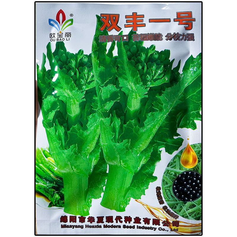 双丰一号早熟油菜苔尖种子籽蔬菜