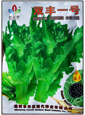 双丰一号早熟油菜苔尖种子籽蔬菜