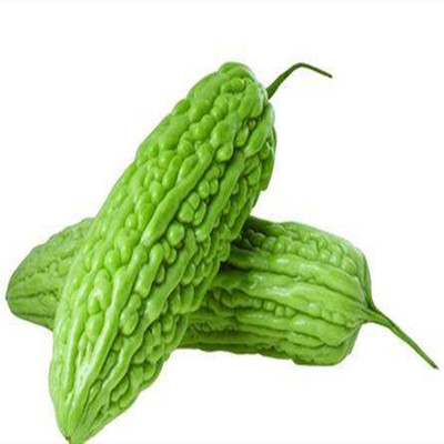 早熟白肉四季包邮苦瓜种子