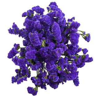 勿忘我鲜花真花云南基地直发配草勿忘我混搭花DIY干花紫色满天星