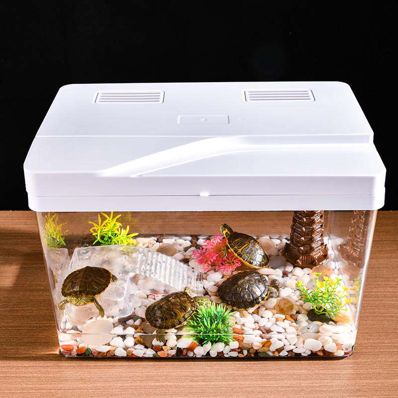 观景乌龟缸家用小型水族箱生态鱼缸客厅桌面中小型乌龟可用带爬架