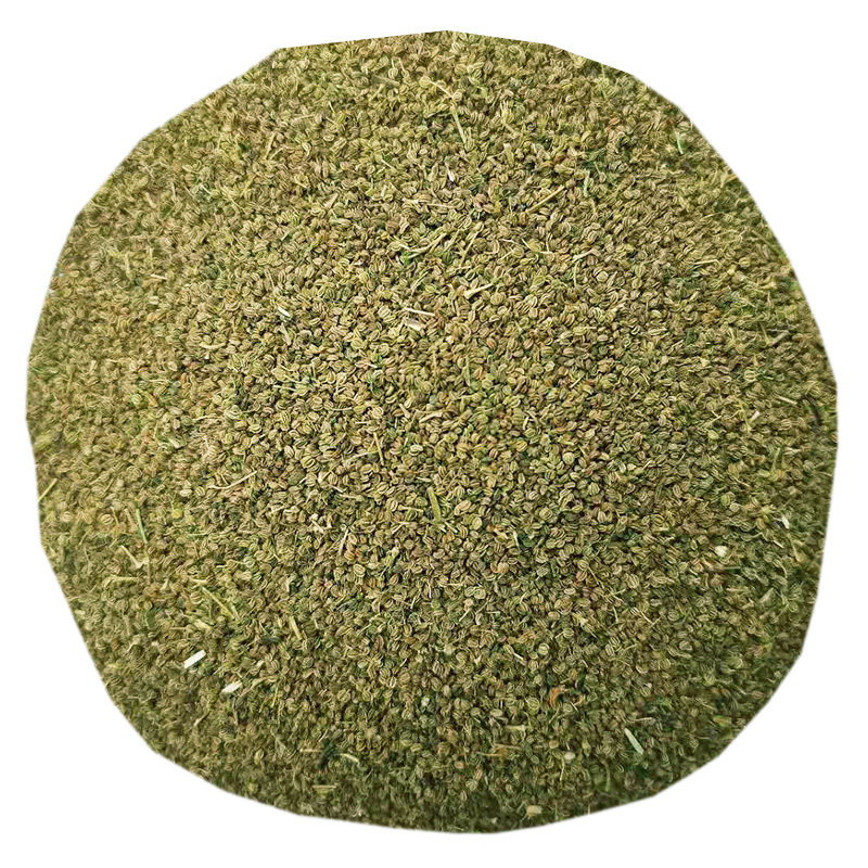 优质芹菜种子西芹种籽香芹新鲜干净泡水喝泡茶做枕头中老年散装