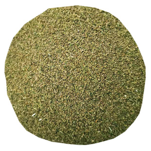 优质芹菜种子西芹种籽香芹新鲜干净泡水喝泡茶做枕头中老年散装