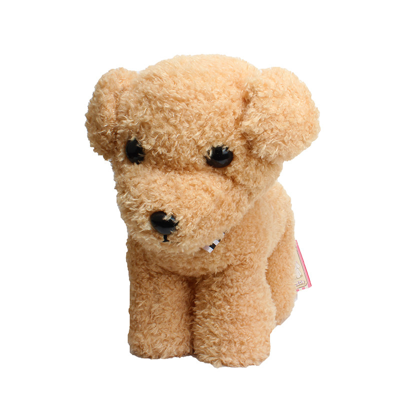 amuse日本正版泰迪犬狗狗公仔