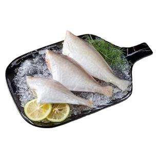 耗儿鱼剥皮鱼小号中号大号海鱼新鲜扒皮鱼冷冻老鼠鱼玻璃鱼马面鱼