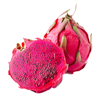 红心火龙果三亚金都一号