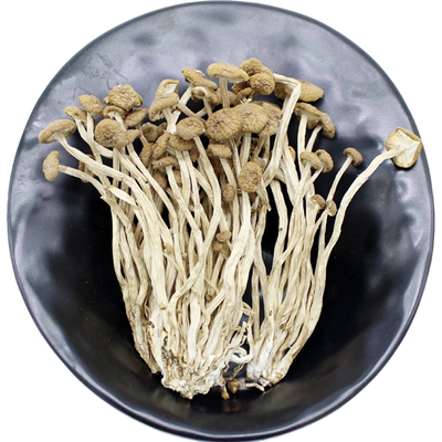 江西特产无硫熏新鲜茶树菇包邮