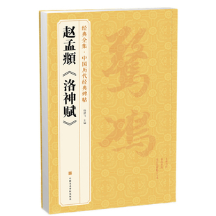 经典全集 赵孟頫《洛神赋》 中国历代经典碑帖 书法行书字帖书籍真迹原大碑帖临摹放大版法帖正版 杨建飞主编