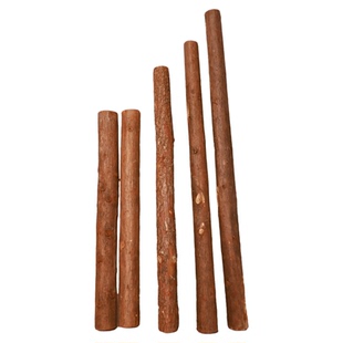 原木杉树打桩树干围栏实木干枯木造景装饰造型树架子树支撑干木头