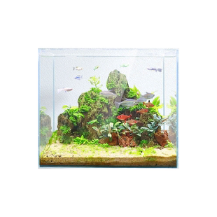 森森超白鱼缸玻璃裸缸桌面客厅生态斗鱼金鱼缸造景懒人乌龟水草缸