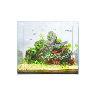 森森超白玻璃缸桌面造景小鱼缸