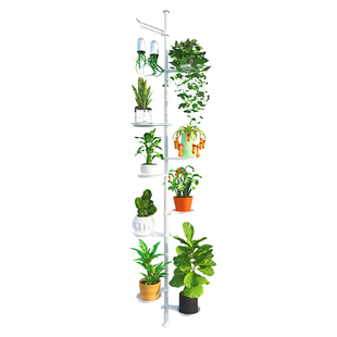 室内客厅阳台花架子多层艺术花架顶天立地悬挂式绿萝吊兰花盆架
