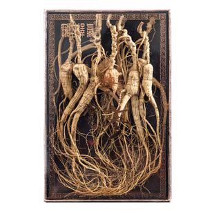 长白山人参20年林下参高龄参泡酒专用吉林人参礼盒装整枝礼品干参