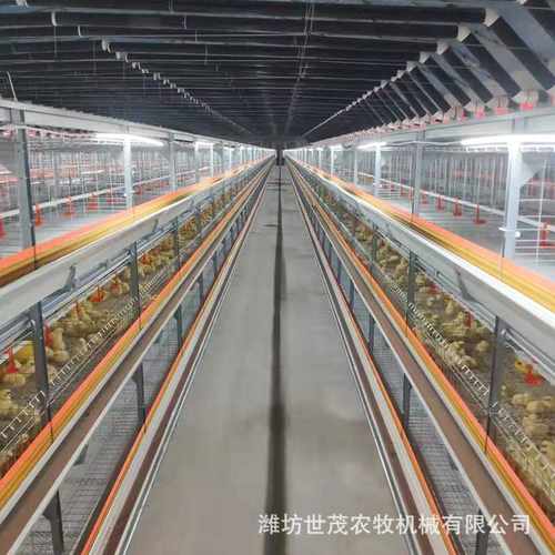 厂家定制自动化鸡笼 阶梯式蛋鸡笼 养鸡场养殖设备 肉鸡笼养设备