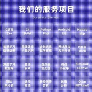 Python代编程深度学习java****代做matlab代码 web帮做彷真算法c