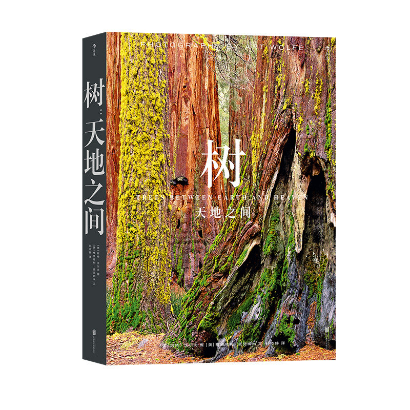 后浪艺术树天地之间自然画册