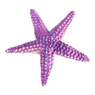 儿童玩具仿真海洋动物模型海象海蛞蝓海兔海星鱼虾蟹海底生物认知