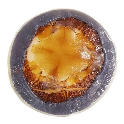 正宗舟山特产野生海蜇皮3斤/5斤桶装净重红太阳面蜇皮脆薄凉拌菜