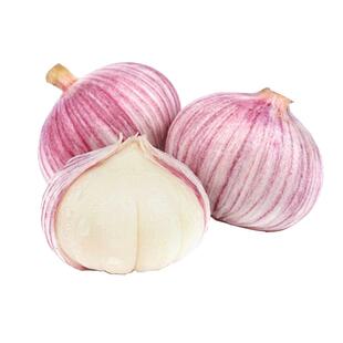 云南正宗紫皮独头大蒜红皮9斤中大果当季辣蒜现挖新蒜坏蒜包赔