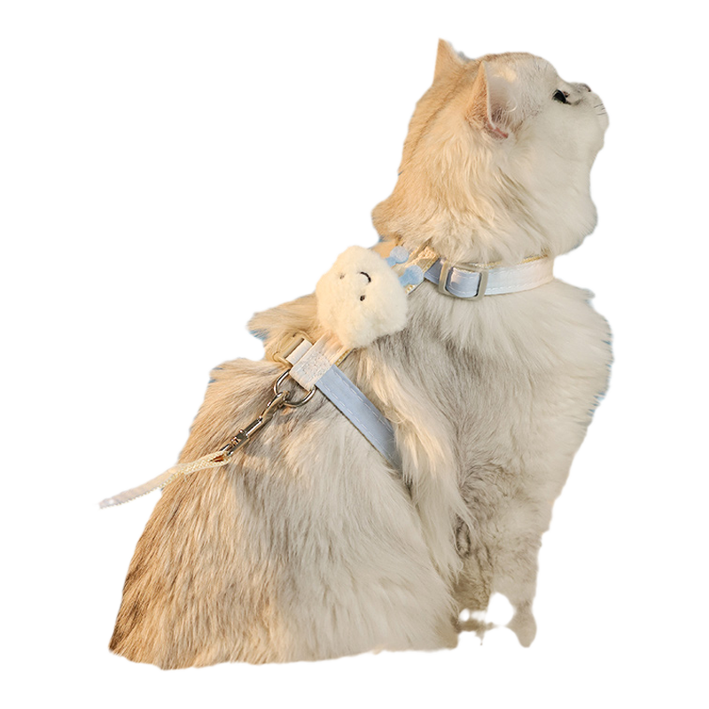 猫咪牵引绳hoopet防挣脱遛猫绳子