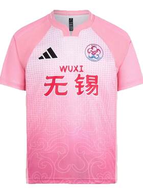 江苏省城市足球联赛无锡队助威服
