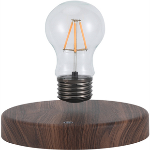 牛顿震惊磁悬浮灯泡桌面摆件创意520礼物小夜灯氛围灯拾亿光年