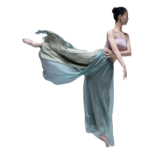 古典舞演出服女飘逸身韵纱衣古风舞蹈服中国舞艺考练功服装阔腿裤