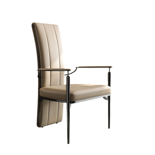 Mobeier 轻奢高级喝茶椅子别墅茶室书房设计师款茶台椅组合主人椅