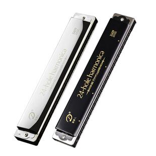 天鹅2409高端追梦人口琴成人24孔复音c调专业演奏级官方旗舰店