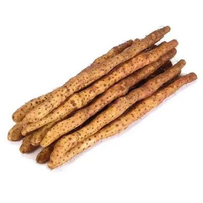 当季现挖正宗温县垆土铁棍怀山药