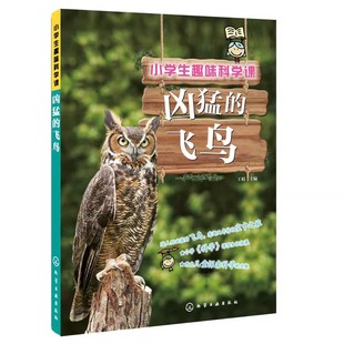 官方正版 小学生趣味科学课 凶猛的飞鸟 6-12岁儿童小学生科普百科图书籍 拓展新思维 提升观察力 激发好奇心 精美插图 趣味知识点