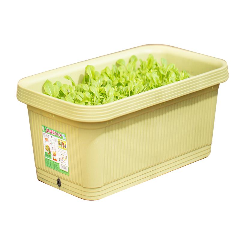 爱丽思长方形花盆大号塑料阳台种菜盆蔬菜种菜专用箱种植箱爱丽丝