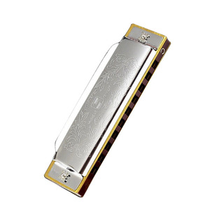 国光10孔布鲁斯口琴C调初学者学生儿童入门天鹅铃木十孔蓝调口琴