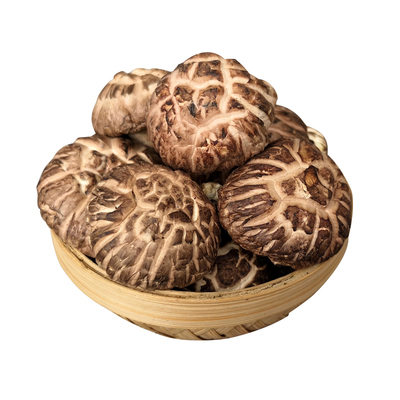 椴木香菇韶关野生蘑菇花菇冬菇