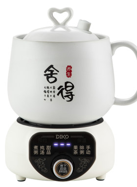 一人电炖杯迷你煮茶煮粥宿舍学生