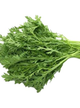四季清香茼蒿种子，30天能吃菜