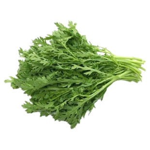 大中小叶茼蒿种子大全农家菜籽四季皇帝菜种春夏秋冬青蔬菜孑盆栽